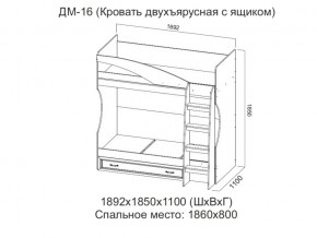 ДМ-16 Кровать двухъярусная с ящиком в Кировграде - kirovgrad.magazin-mebel74.ru | фото