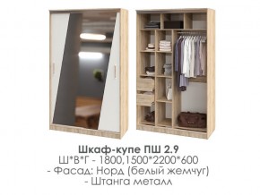 шкаф-купе ПШ-2.9 1500 Норд Белый жемчуг 1500 в Кировграде - kirovgrad.magazin-mebel74.ru | фото