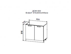 Шкаф нижний ДСМ800 под мойку в Кировграде - kirovgrad.magazin-mebel74.ru | фото