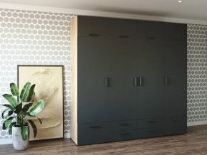 Шкаф распашной 2400К Антрацит в Кировграде - kirovgrad.magazin-mebel74.ru | фото