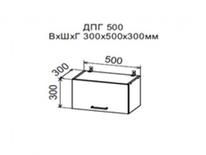 Шкаф верхний ДПГ500 горизонтальный в Кировграде - kirovgrad.magazin-mebel74.ru | фото