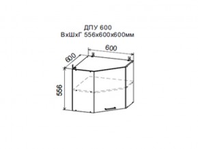 Шкаф верхний ДПУ600 угловой в Кировграде - kirovgrad.magazin-mebel74.ru | фото